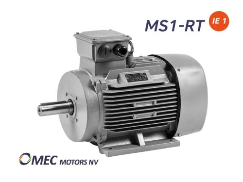 MS1-RT IE1