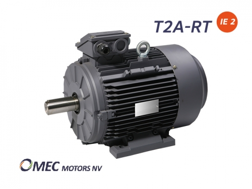 T2A-RT IE2